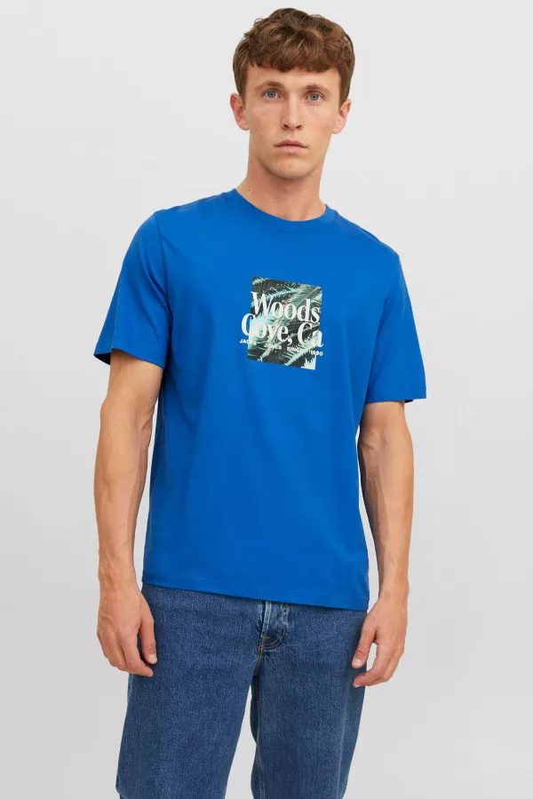 Homme T-shirt imprimé botanique en coton BLOOMER Jack & Jones Ecru