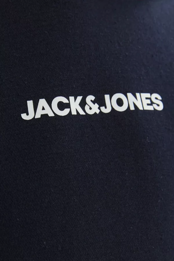 Sweat tricolore à capuche avec impression devant REID Jack & Jones