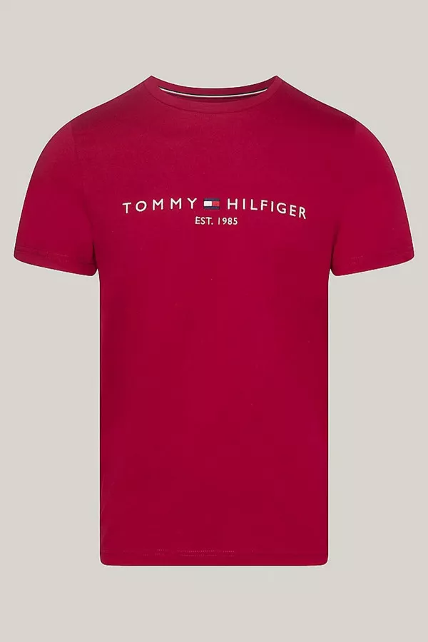 T-shirt en coton avec broderie manches courtes Tommy Hilfiger