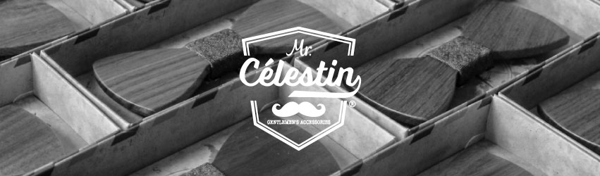 image couverture Mr. Célestin